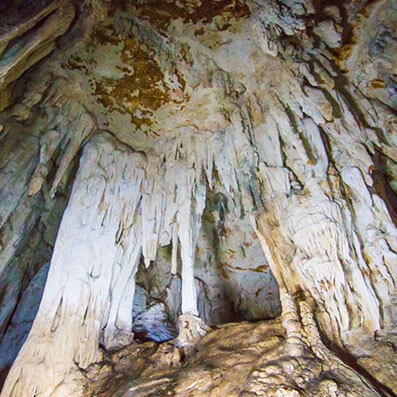 แพคเกจ P104 เที่ยวเขื่อนเชี่ยวหลาน ครึ่งวัน ไปถ้ำปะการัง เที่ยวเขื่อนเชี่ยวหลาน ครึ่งวัน 1,200 บาท/ท่าน